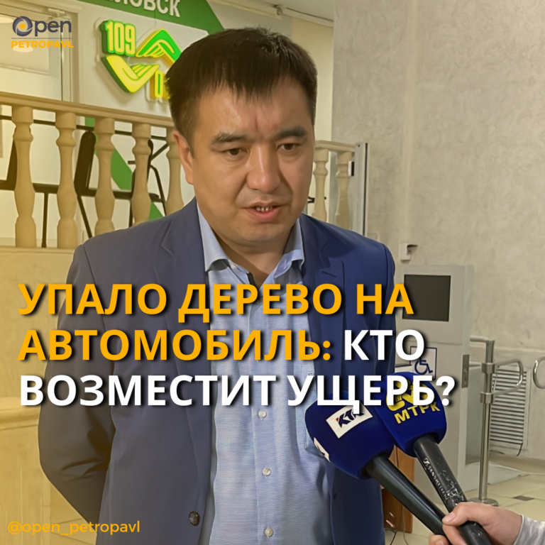 УПАЛО ДЕРЕВО НА АВТОМОБИЛЬ: КТО ВОЗМЕСТИТ УЩЕРБ?