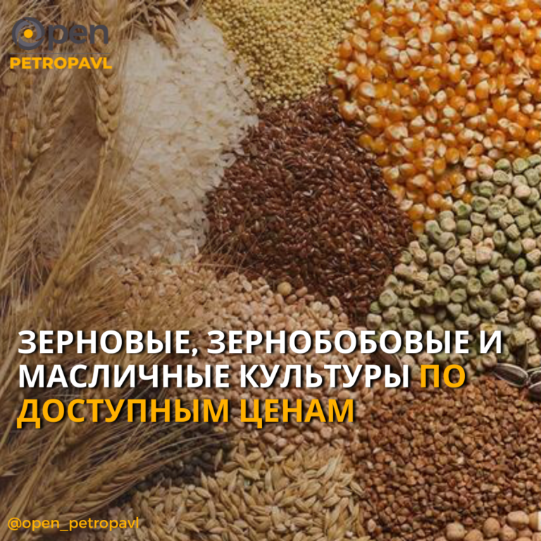 ЗЕРНОВЫЕ, ЗЕРНОБОБОВЫЕ, МАСЛИЧНЫЕ КУЛЬТУРЫ ПО ДОСТУПНЫМ ЦЕНАМ