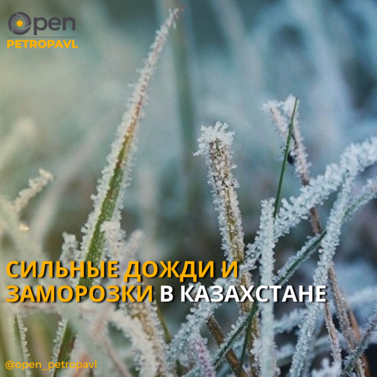 СИЛЬНЫЕ ДОЖДИ И ЗАМОРОЗКИ ОЖИДАЮТСЯ В КАЗАХСТАНЕ