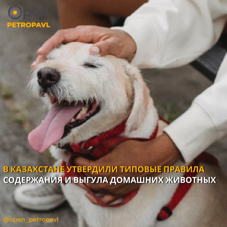 В КАЗАХСТАНЕ УТВЕРДИЛИ ТИПОВЫЕ ПРАВИЛА СОДЕРЖАНИЯ И ВЫГУЛА ДОМАШНИХ ЖИВОТНЫХ