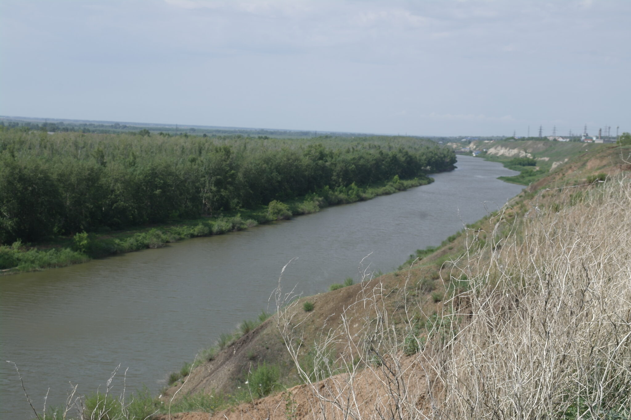 Город ишим уровень реки ишим. Река Ишим Петропавловск. Река Ишим в Державинске. Река Ишим направление. Ишим река фото с набережной
