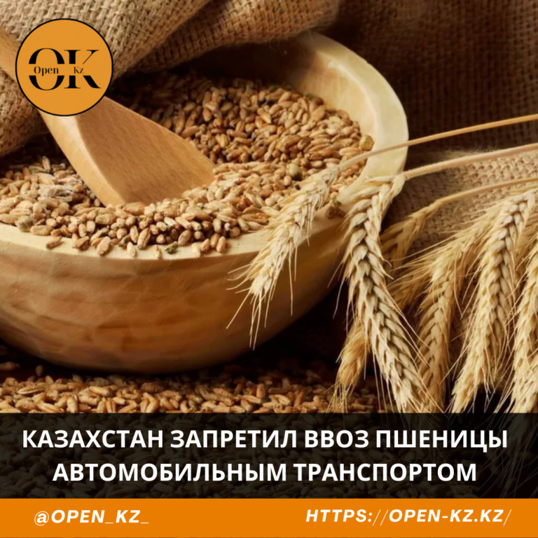 Казахстан запретил ввоз пшеницы автомобильным транспортом