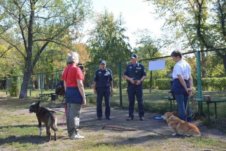 В ПЕТРОПАВЛОВСКЕ ЗА НАРУШЕНИЕ ПРАВИЛ ВЫГУЛА СОБАК И КОШЕК НАКАЗАЛИ БОЛЕЕ 400 ЧЕЛОВЕК